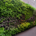 Vertical Garden Bintaro | Bergaransi vertical-garden-bintaro