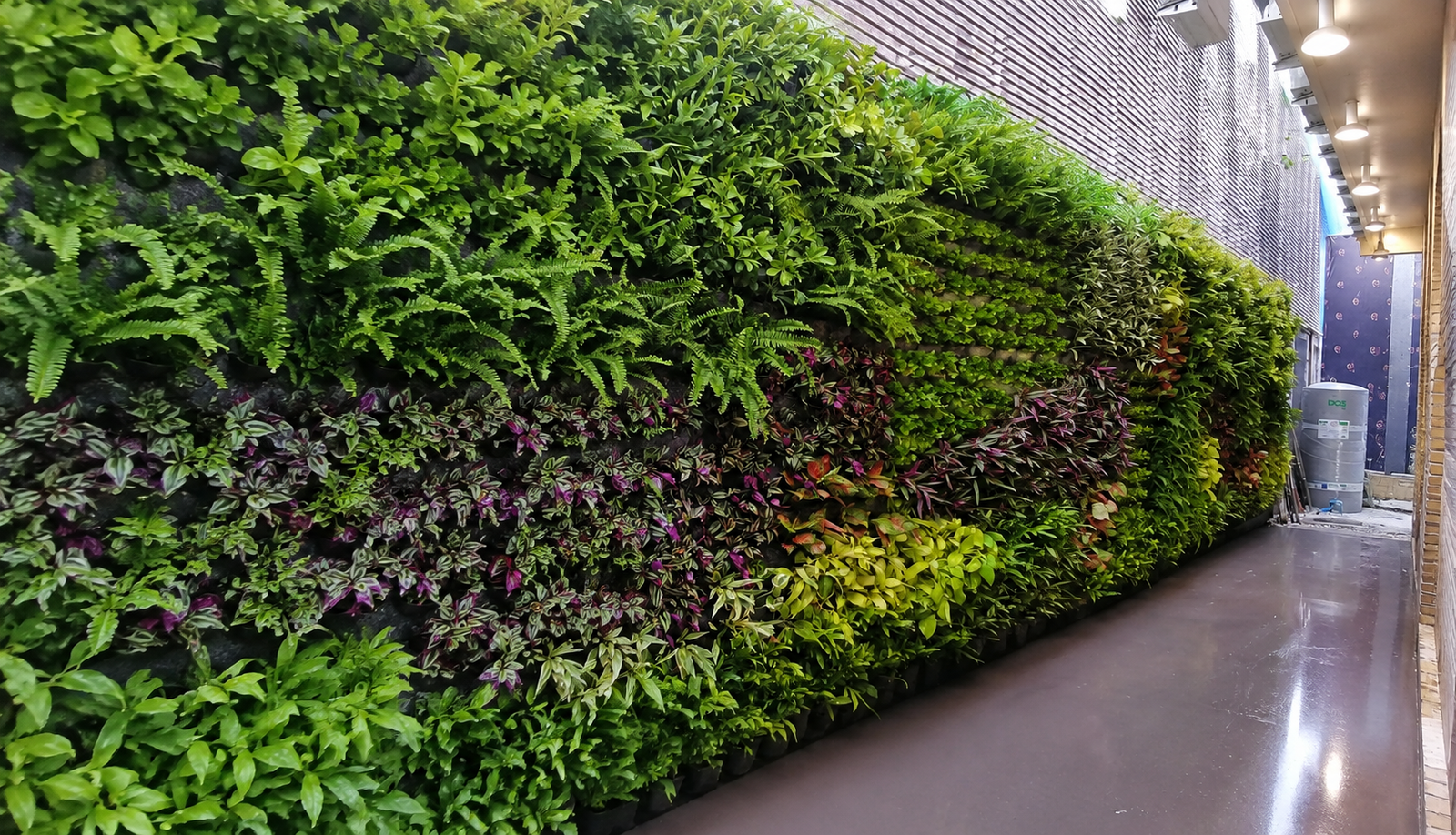 vertical-garden-bintaro